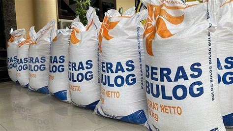 Bansos Beras 10 Kilogram Cair Mei 2024 Untuk 22 Juta KPM Cek Kriteria