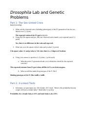 Drosophila Lab Sex Linked Cross X Linked Traits Course Hero