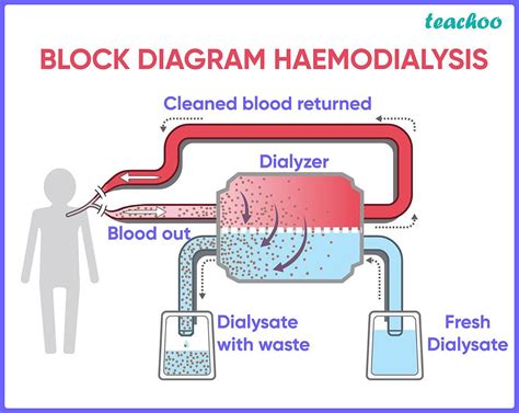 Block Diagram Of Dialysis Machine Introduction To Dialysis M