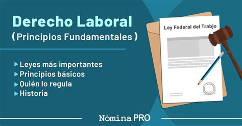 Qué Es El Derecho Laboral Todo Lo Que Debes Saber