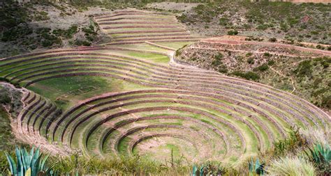 Moray Eel Photos, Download The BEST Free Moray Eel Stock Photos & HD Images