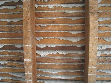 Lath And Plaster Repair