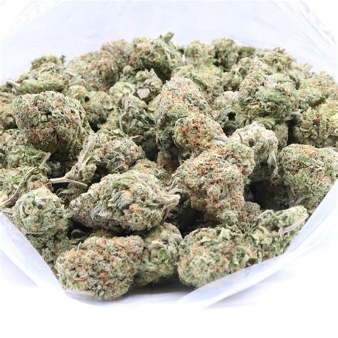 Buy Alaskan Thunder Fuck Aa