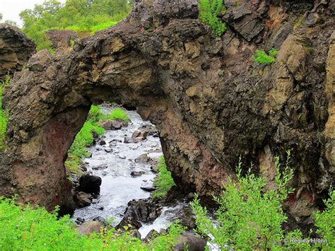 Hallormsstaðaskógur Forest In East Iceland Icelands Largest Forest