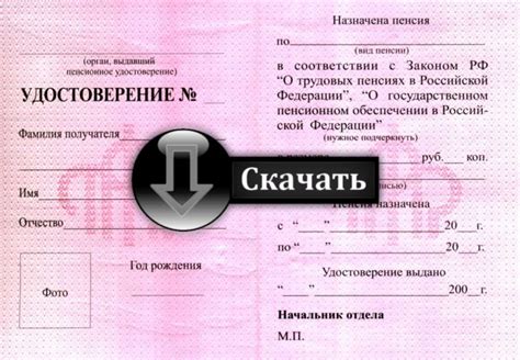 Пенсионное Удостоверение В 2025 Году Фото – Telegraph