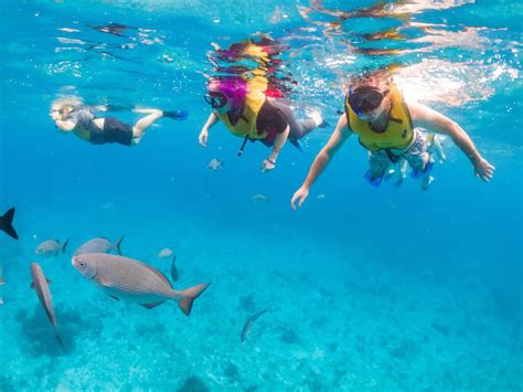 Introducir 50 Imagen Cozumel Snorkeling Tour Abzlocal Mx