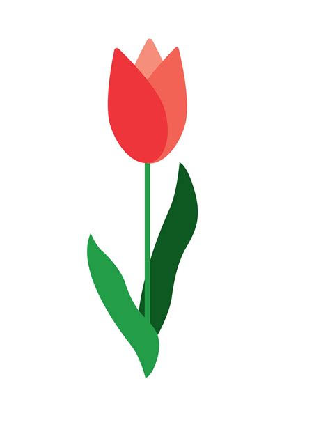 Spring term self care - The Western Howl