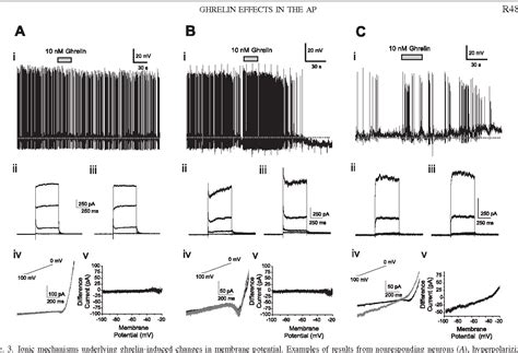 Figure 3 From Neural Integration Of Peripheral Signals Implicated In