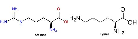 Arginine V Lysine T I U H A T C T Ng Tr Ng C A T M C Ng Xanh