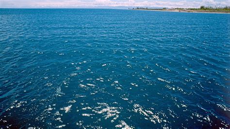 Ысык кол - фото и картинки: 65 штук