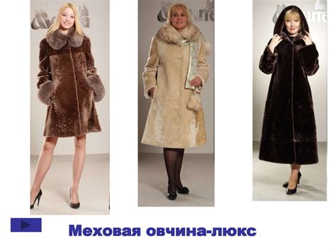 Продукция овцеводства - презентация онлайн