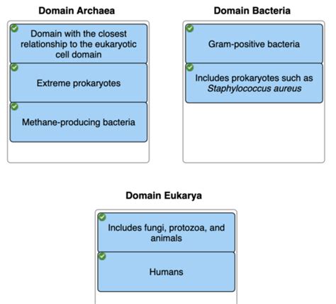 Medical Microbiology Ch 1 Major Themes Of Microbiology Flashcards