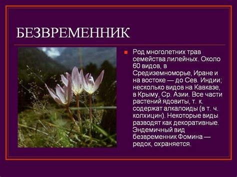 Растения крыма из красной книги с описанием и картинками