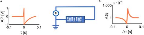 Frontiers Memristive Lif Spiking Neuron Model And Its Application In