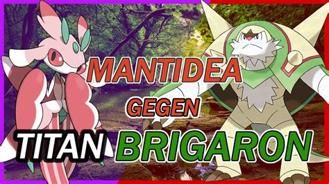 SOLO MANTIDEA gegen TITAN BRIGARON Pokémon Purpur Karmesin