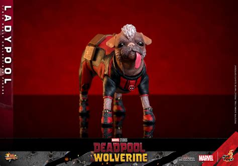 HOT TOYS死侍與金鋼狼死侍夫人Ladypool 比例收藏級人偶