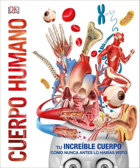 Cuerpo Humano By Dk Hardcover Indigo Chapters In Human Body