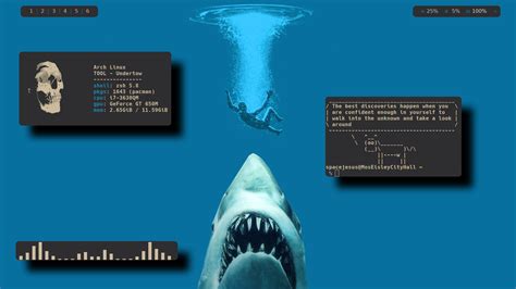 I If You Don T Think The Ocean Is Rad As Fuck Get Outta My Face R Unixporn