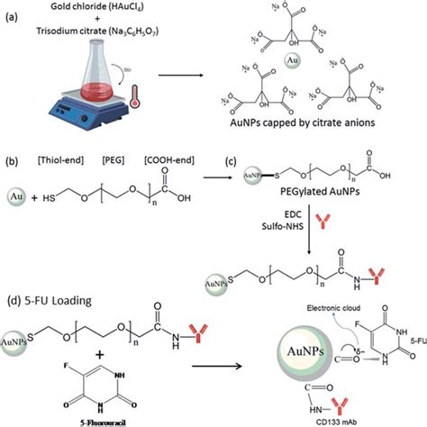 Schematic Illustration Of A Aunps Synthesis Via Chemical Reduction Of