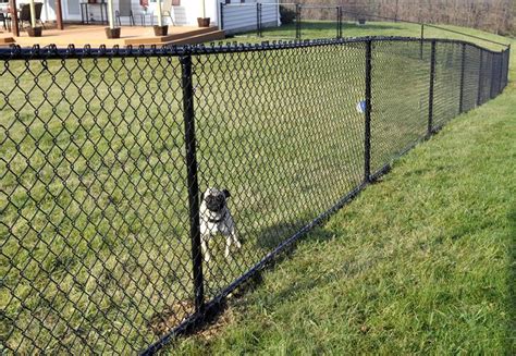 Chain Link Fence Knuckle Or Twist Selvage Selection