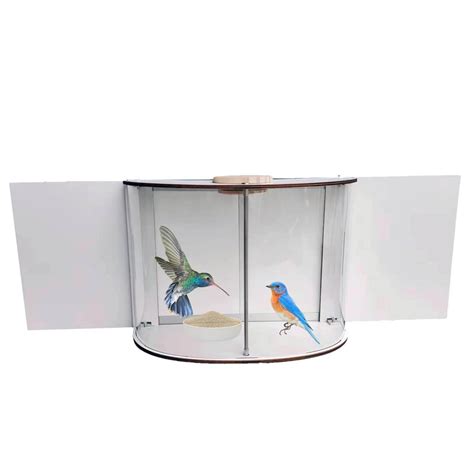 Squirrel Proof Suet Feeder Window Bird Feeder 669 And Acrylic Window