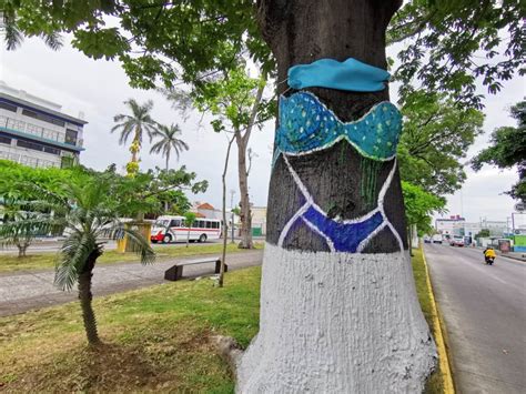 Noticias de Árbol del Bikini en Milenio Grupo Milenio