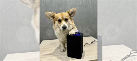 Яндекс станция yndx-0001 купить в Москве | Электроника | Авито