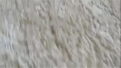 Culona Amateur Search Xnxx