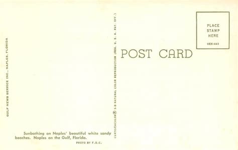 Sunbathing NAPLES Florida Beach Bikini Girls Surfing S Rare Vintage Postcard United States