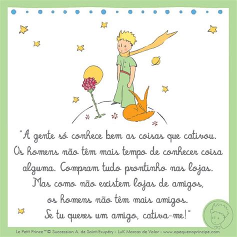 O Pequeno Príncipe e Eu : As melhores frases do livro O Pequeno Príncipe!