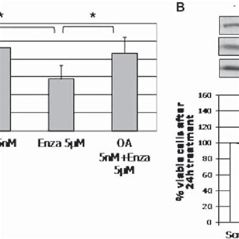 Cll Primary Cell Resistance To Enzastaurin Is Observed In Samples