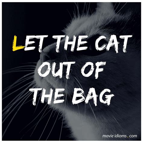 Let The Cat Out Of The Bag Idiom Meaning Examples Movie Idioms