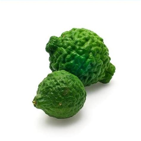 How To Grow Kaffir Lime Trees Indoors Ehow Jardins