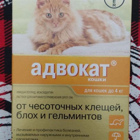 Капли Адвокат для кошек: инструкция по применению, отзывы, аналоги
