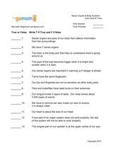 Environmental Science Class 1 Five Senses Worksheet 3 WWF