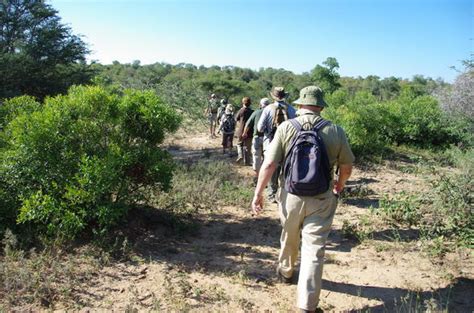 About Walking Trails - Kruger National Park - African Holidays