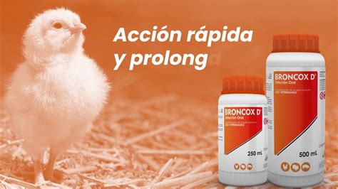 Medicamentos Para Pollos De Engorde ¿qué Debes Saber Todo Engorda
