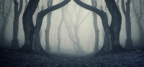 man screaming  ringtone downloads scary ringtones