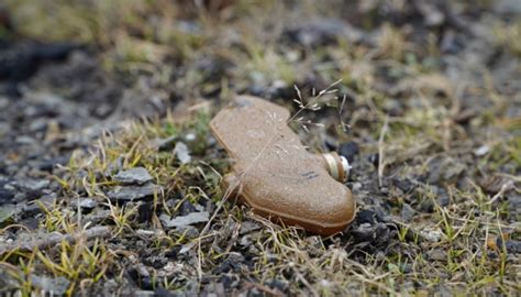 Russian Landmines Kill 277 In Ukraine Including 14 Children