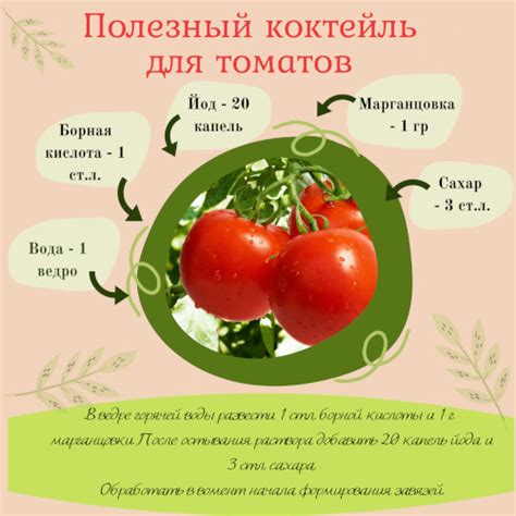 Томат Мясистый Сахаристый. Описание сорта, фото, отзывы