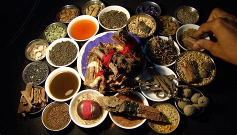 Tibetan Medicine: Magical Medicines from the Roof of the World