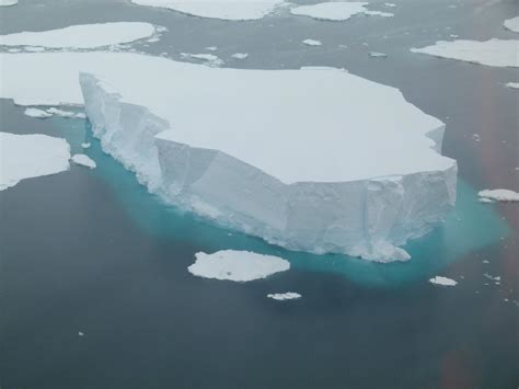 A new study has looked at... - British Antarctic Survey | Facebook