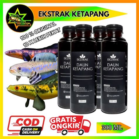 Jual Ekstrak Daun Ketapang Laut Super Pekat 300ml Shopee Indonesia