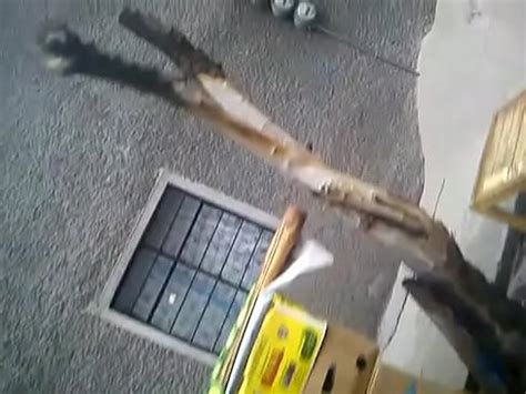 Madura Caderona En La Calle Xvideos