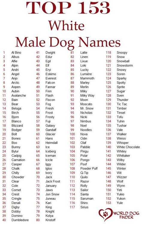 Khám Phá Dog Cute Name Male Với Những Cái Tên độc đáo