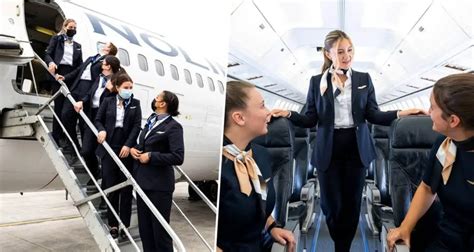 Nolinor Aviation Flight Attendant Requirements Cabin Crew Hq