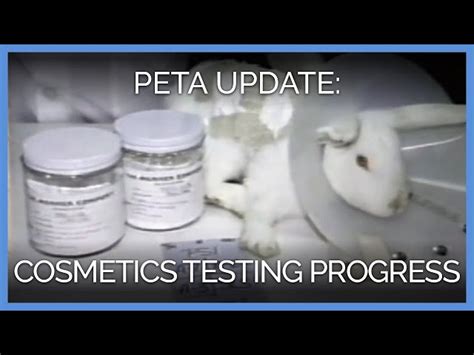 Peta Makeup Testing Saubhaya Makeup
