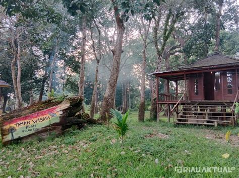 berlibur sembari melihat gajah  taman wisata alam buluh cina