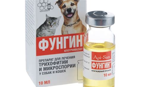 Мазь от лишая для кошек – серная, салициловая и другие: плюсы и минусы ...