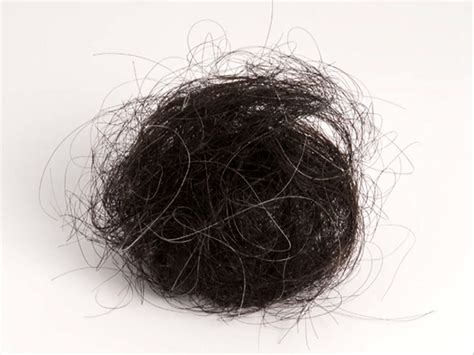 'Global Hair Project' - Installation - Kim Schonewille